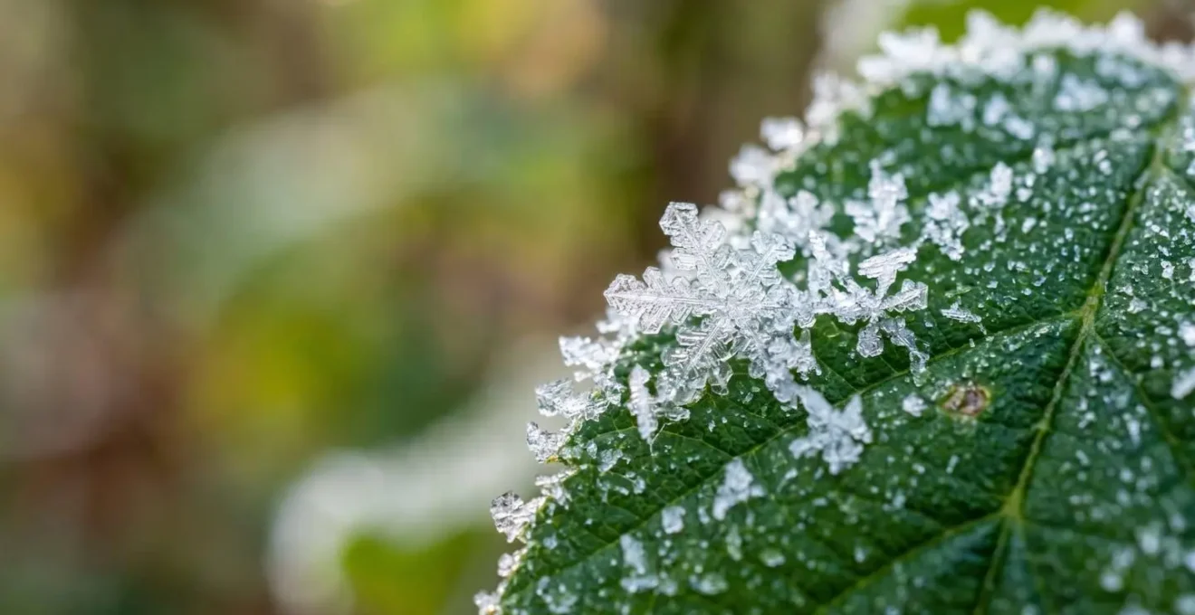 Visualizzazione macro di particelle di CO2 e inquinanti atmosferici su sfondo naturale
